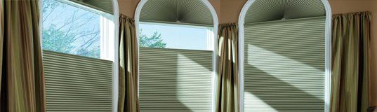 Window Coverings or Blinds