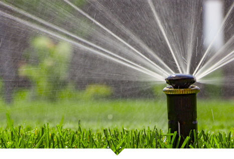 Irrigation services