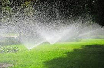 Wide yard irrigation system