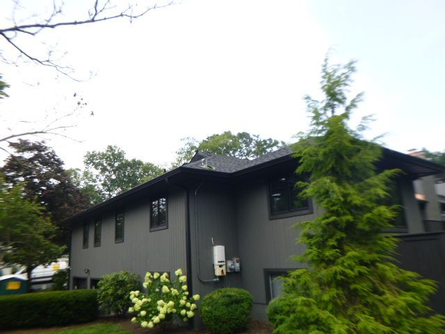 Gray two-story house with dark roof, shrubs, and a tall evergreen tree in front