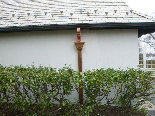 White house wall with a brown downspout behind trimmed green shrubs under a shingled roof