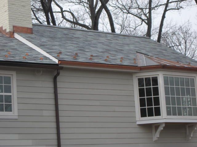 Gray house roof with a dormer window and bare trees in the background
