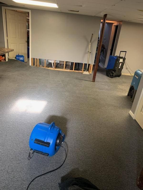 Basement with exposed wall studs, carpet, and blue air movers, possibly undergoing water damage restoration.