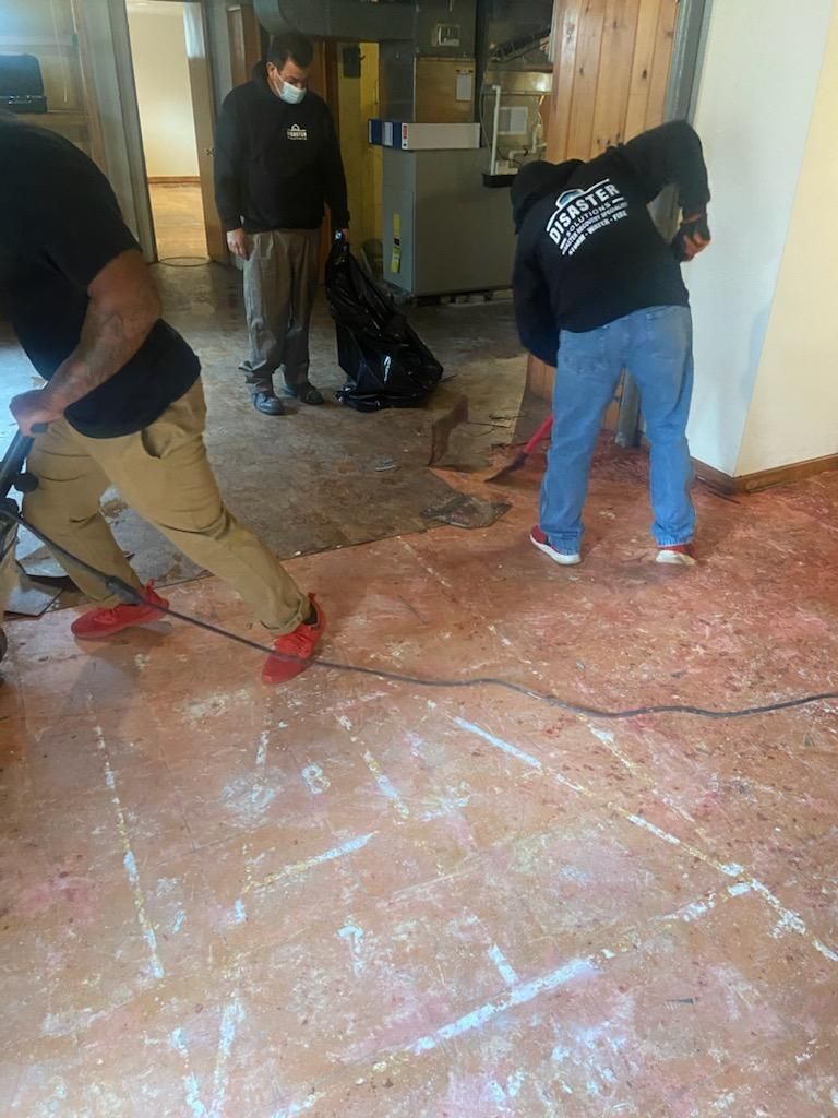Workers removing flooring in a room. Two are scraping the floor, one holds a trash bag.