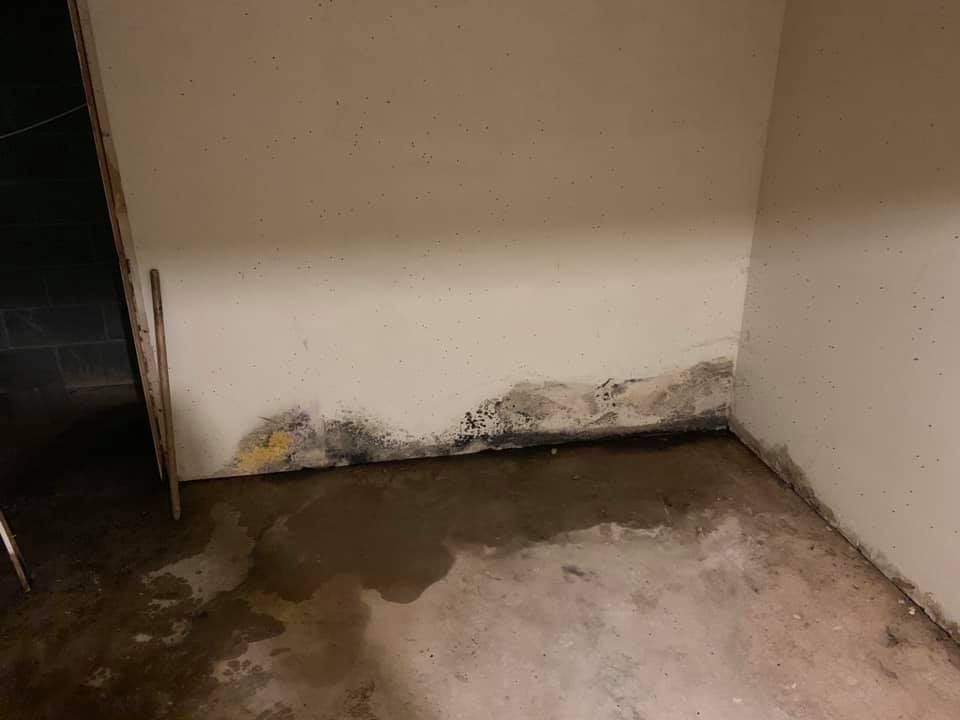 Mold and water damage on a basement wall and floor.
