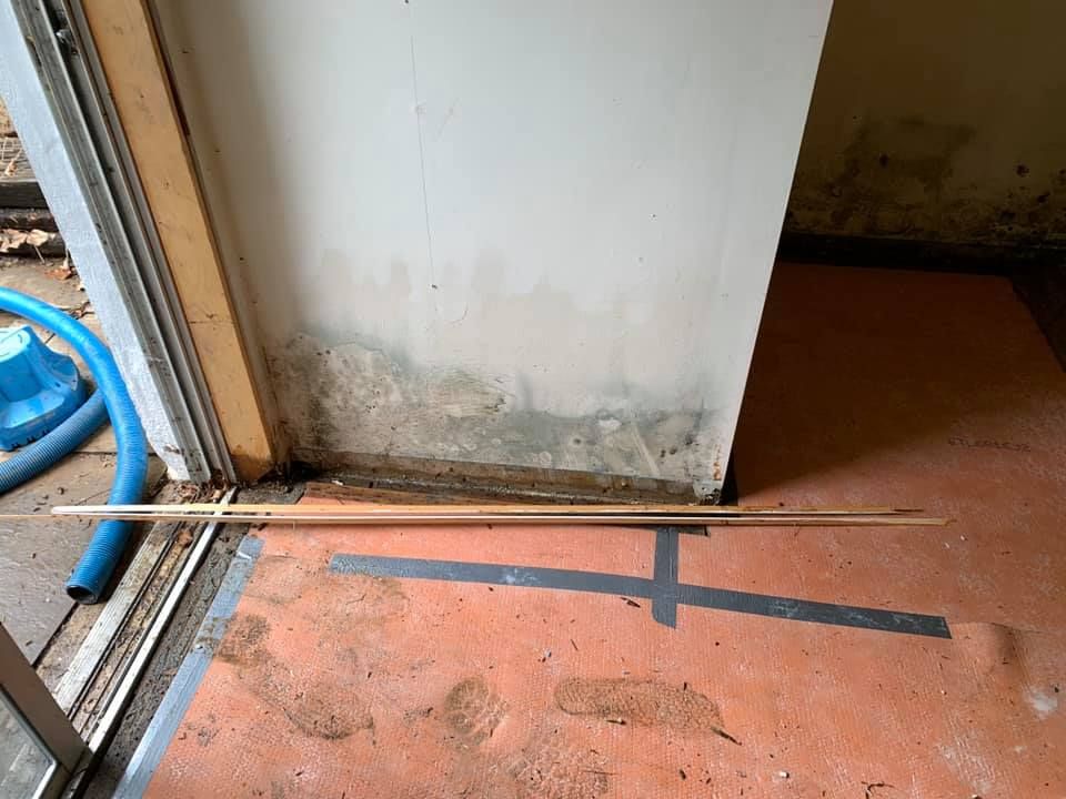 Mold on a door frame and floor, next to a window. A long stick is on the floor and a vacuum is partially visible.