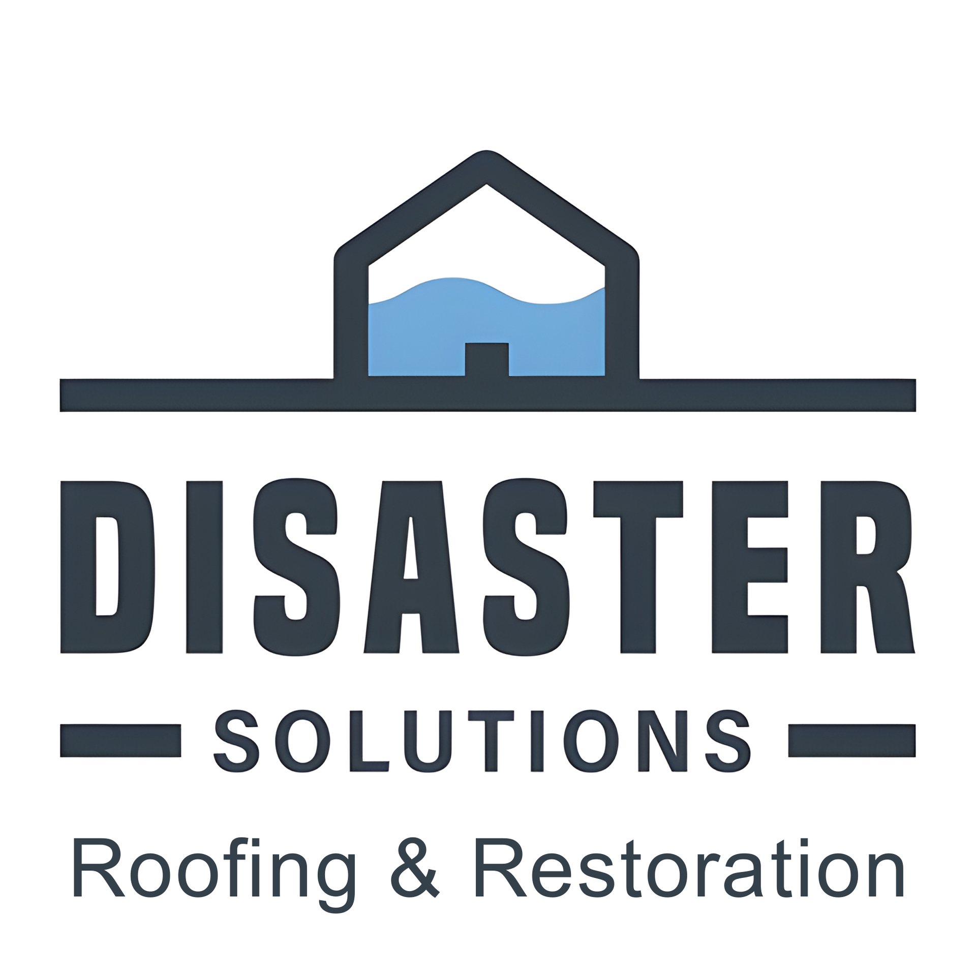 Disaster Solutions Inc - logo