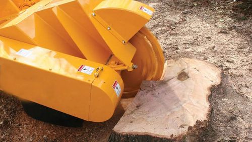 Worker in orange hard hat stands beside a skid steer near a tree stump in a yard