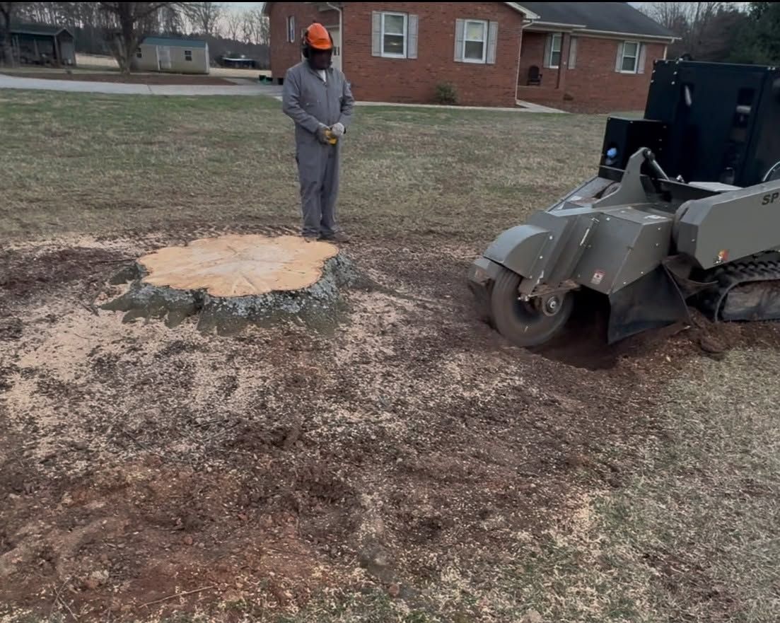 Scott's Stump Grinding