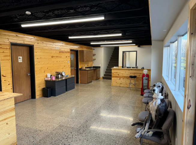 Wood-paneled office lobby with reception desk, stairs, and dog statues by windows
