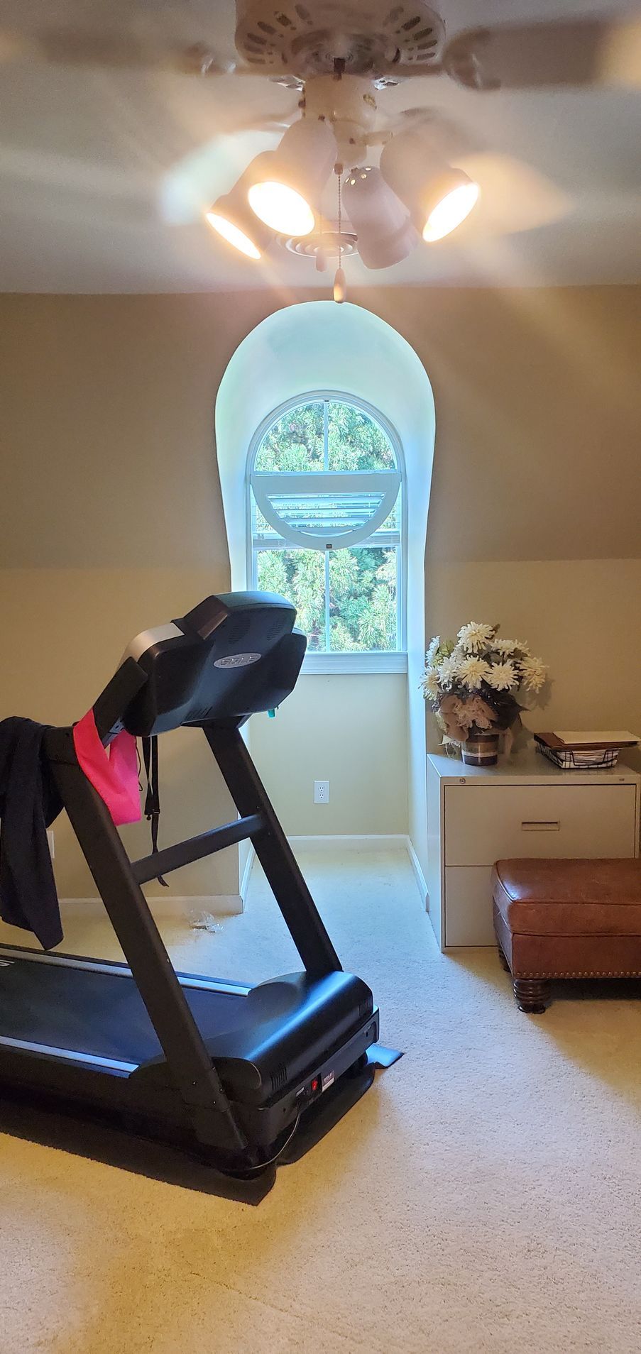 Treadmill in a room with an arched window, white ceiling fan, and carpeted floor.