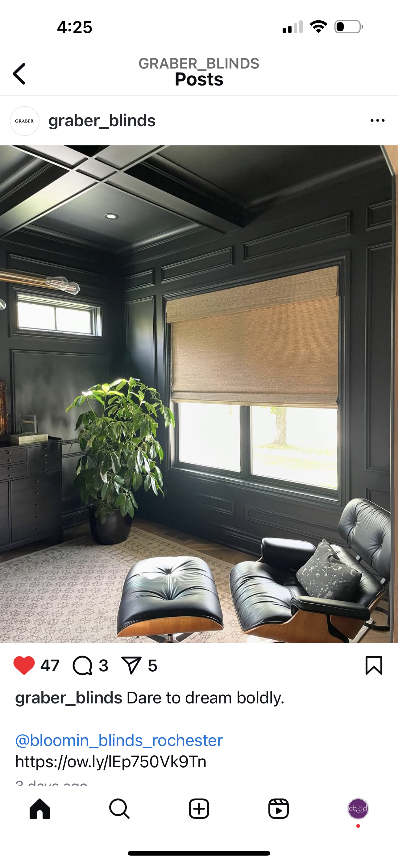 Dark room with a large plant, window with blind, and leather chairs. Dark gray walls and ceiling.