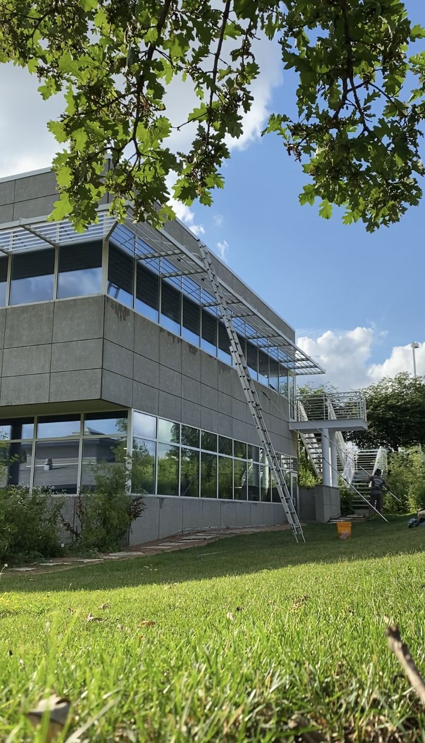 Modern office building with blue windows, green lawn, and tree branches against a sunny sky