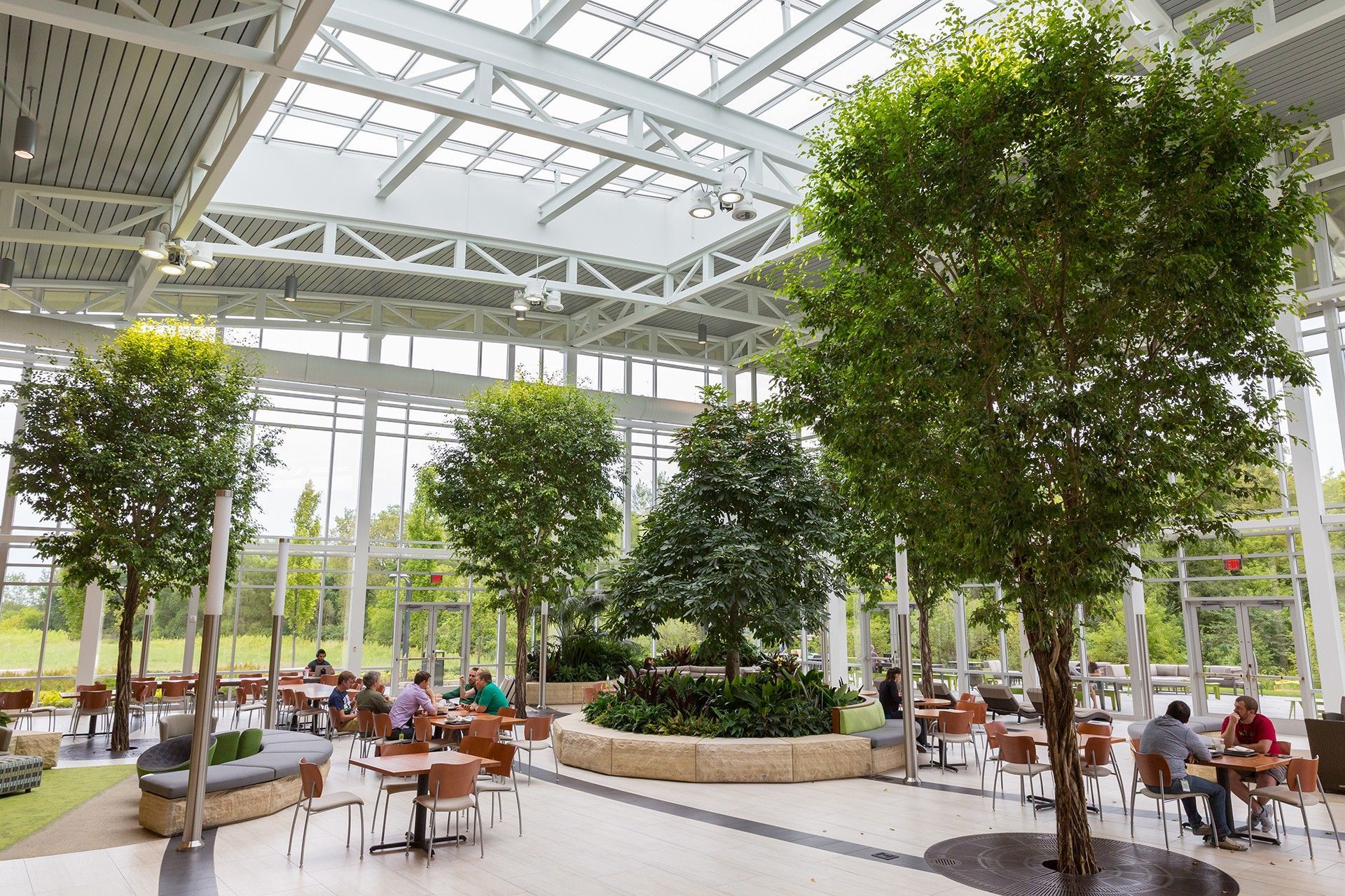Indoor atrium with tall trees, skylit roof, and people seated at café tables
