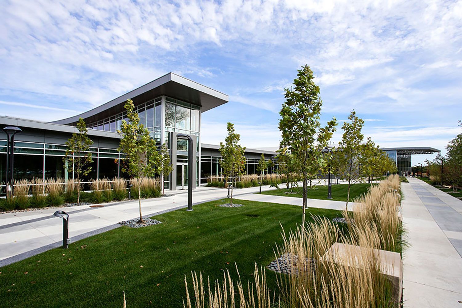 Modern building with a glass entrance, landscaped lawn, and young trees on a sunny day