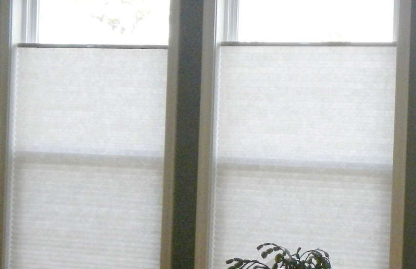 A plant is sitting in front of a window with white blinds.