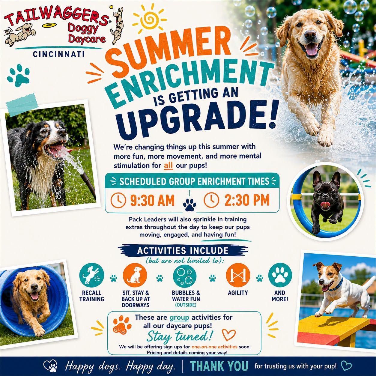 Summer enrichment upgrade ad for Cincinnati dog daycare with dogs, schedule times, and activity icons