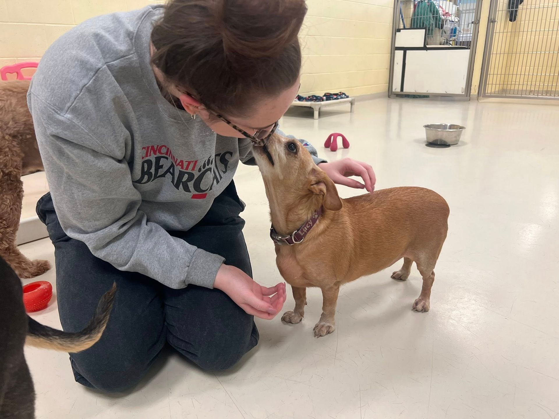 Woman kneels, petting small brown dog indoors