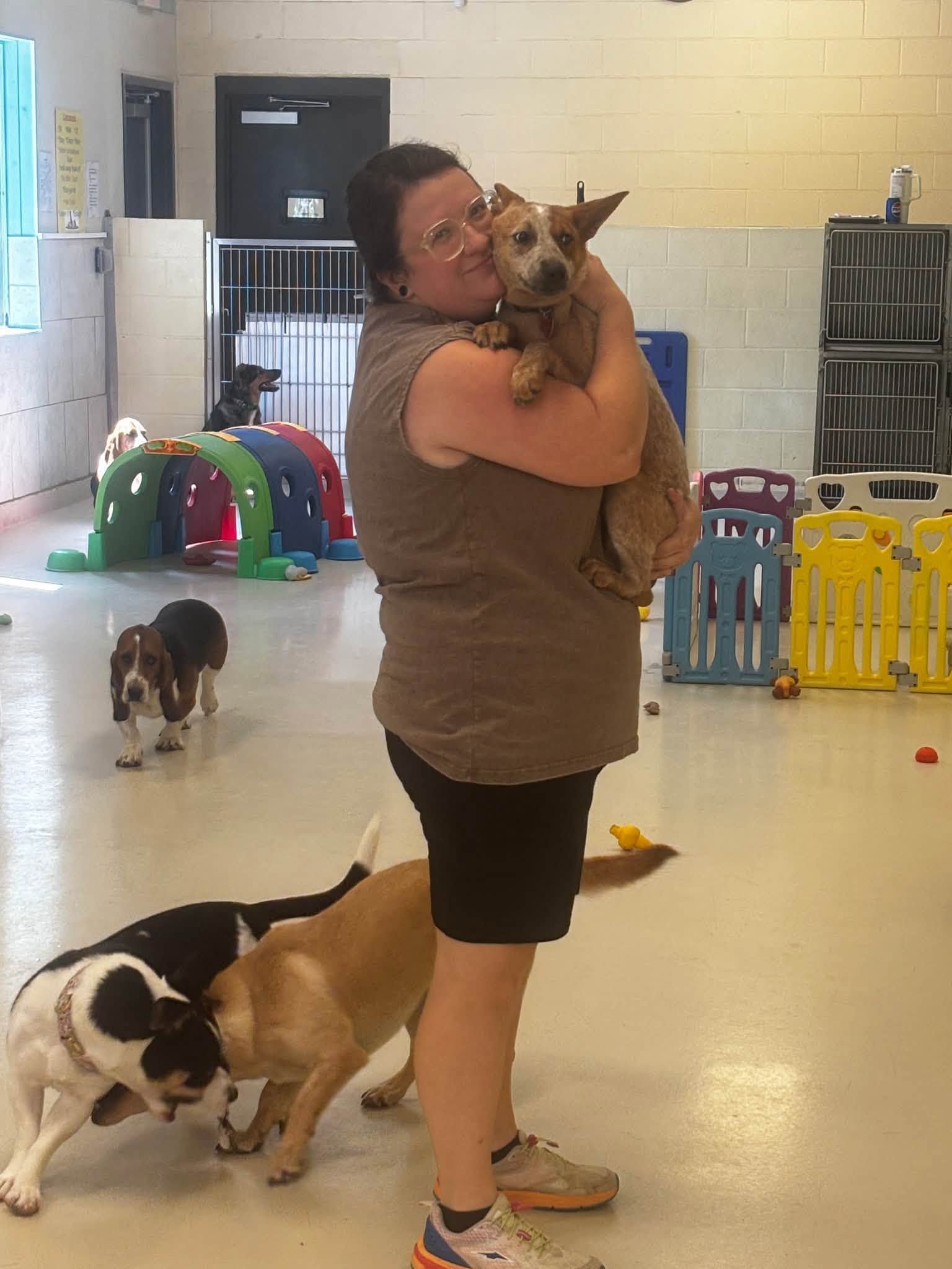 Person holding a small dog in a dog training room with several dogs nearby and agility equipment in the background.