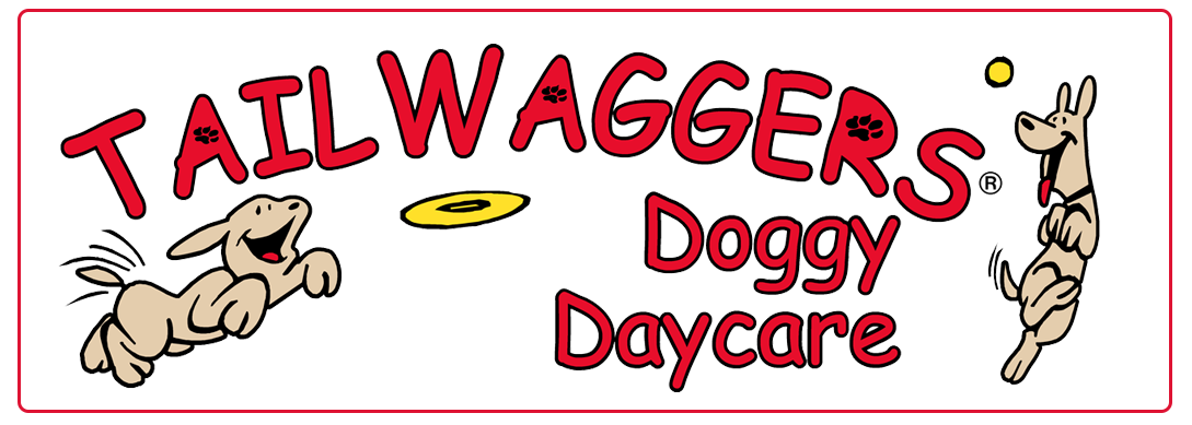 Logo for "Tail Waggers Doggy Daycare" with cartoon dogs playing. Red text, white background.