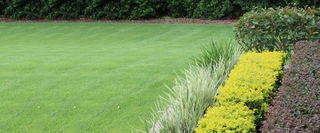 Landscaping Services | Hardscaping Services Winter Haven FL