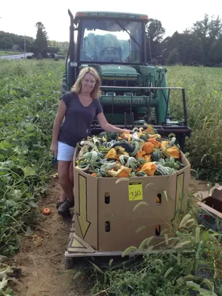Woman stands by a tractor-pulled bin filled with colorful gourds in a field.