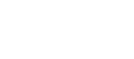 The Dance Line, Inc - Logo