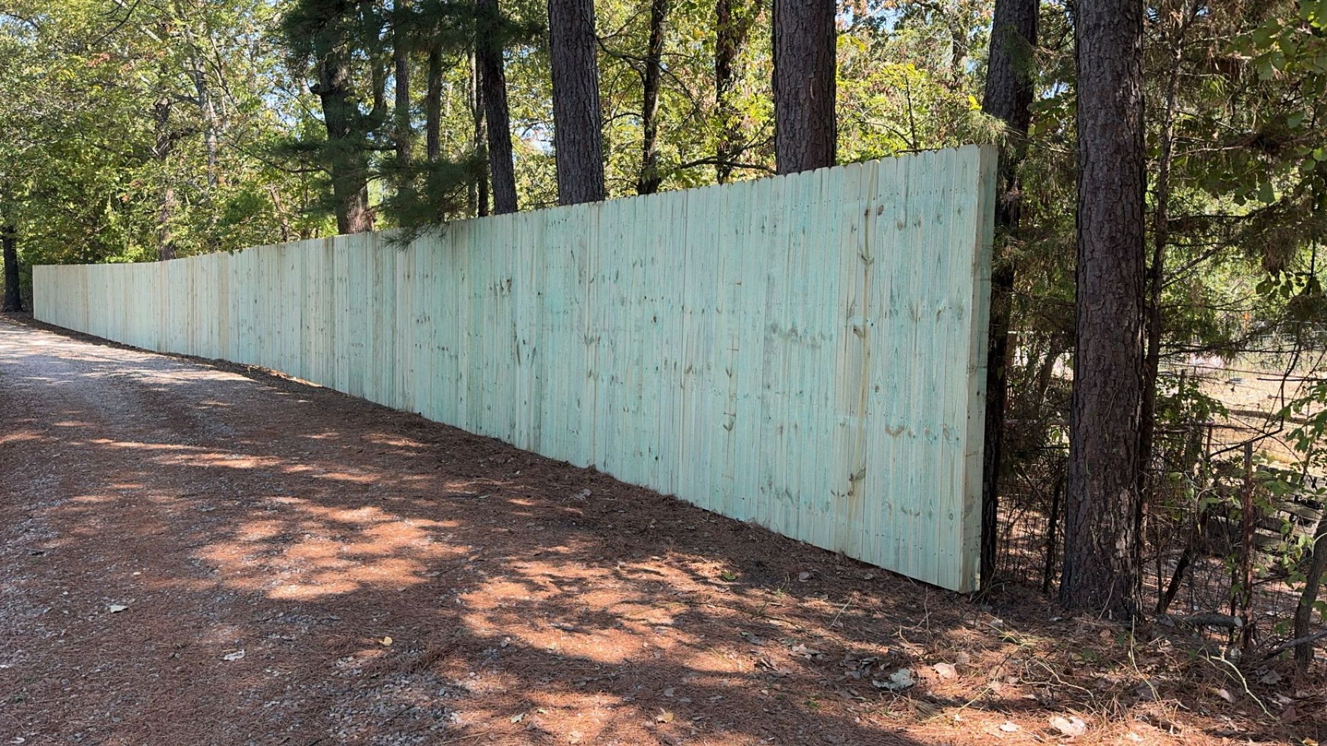 Long turquoise wooden fence beside a wooded dirt path in a forested area