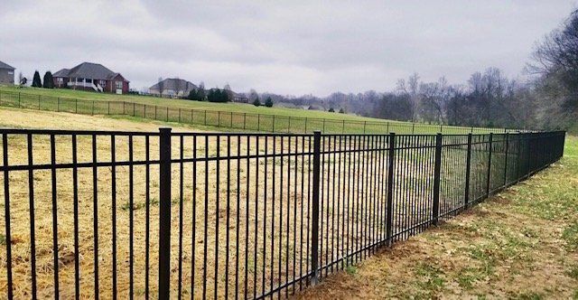 A black metal fence surrounds a grassy field with a house in the background.