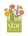 Star Roses & Plants