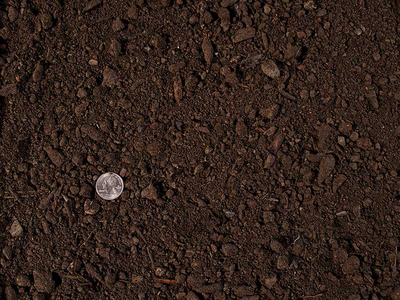 Screened Top Soil
