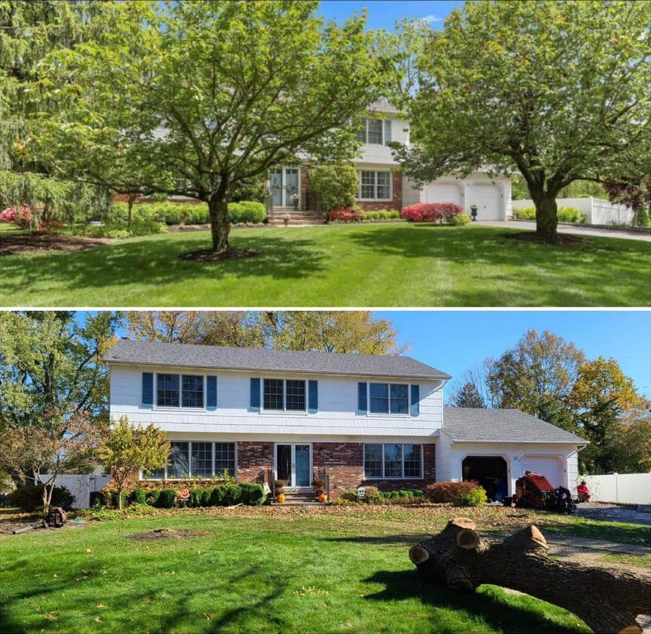 Before and after lawn care