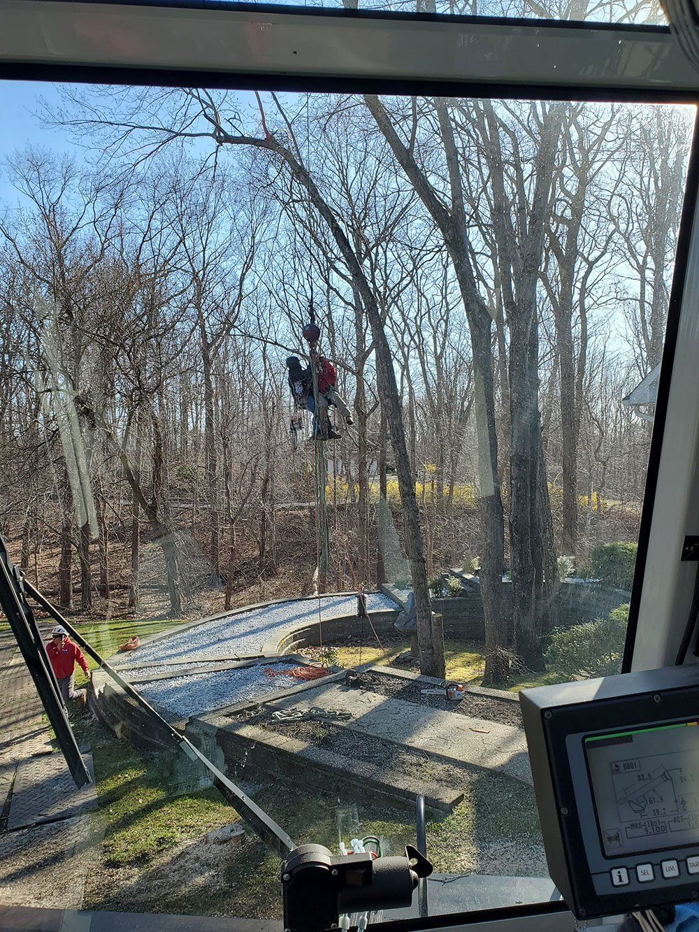 Tree pruning services