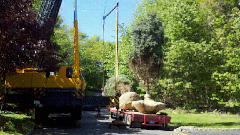 Trees on a truck
