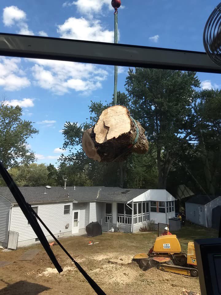 Stump