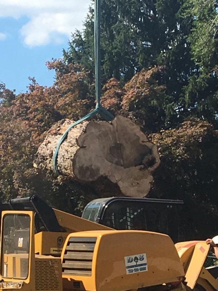 Stump removal