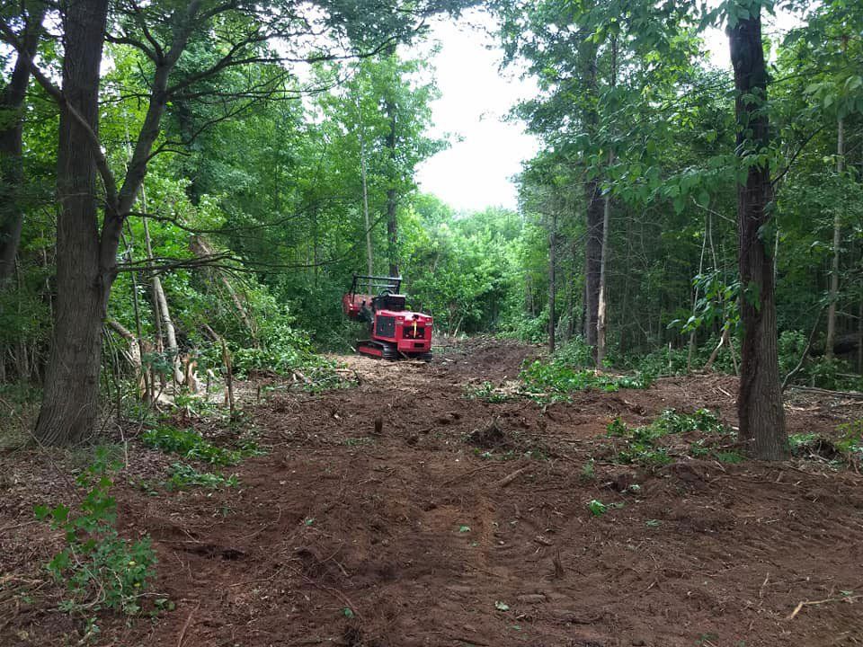 Land clearing
