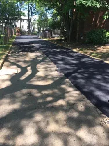 Asphalt road with new black pavement, next to a concrete sidewalk. Trees cast shadows.