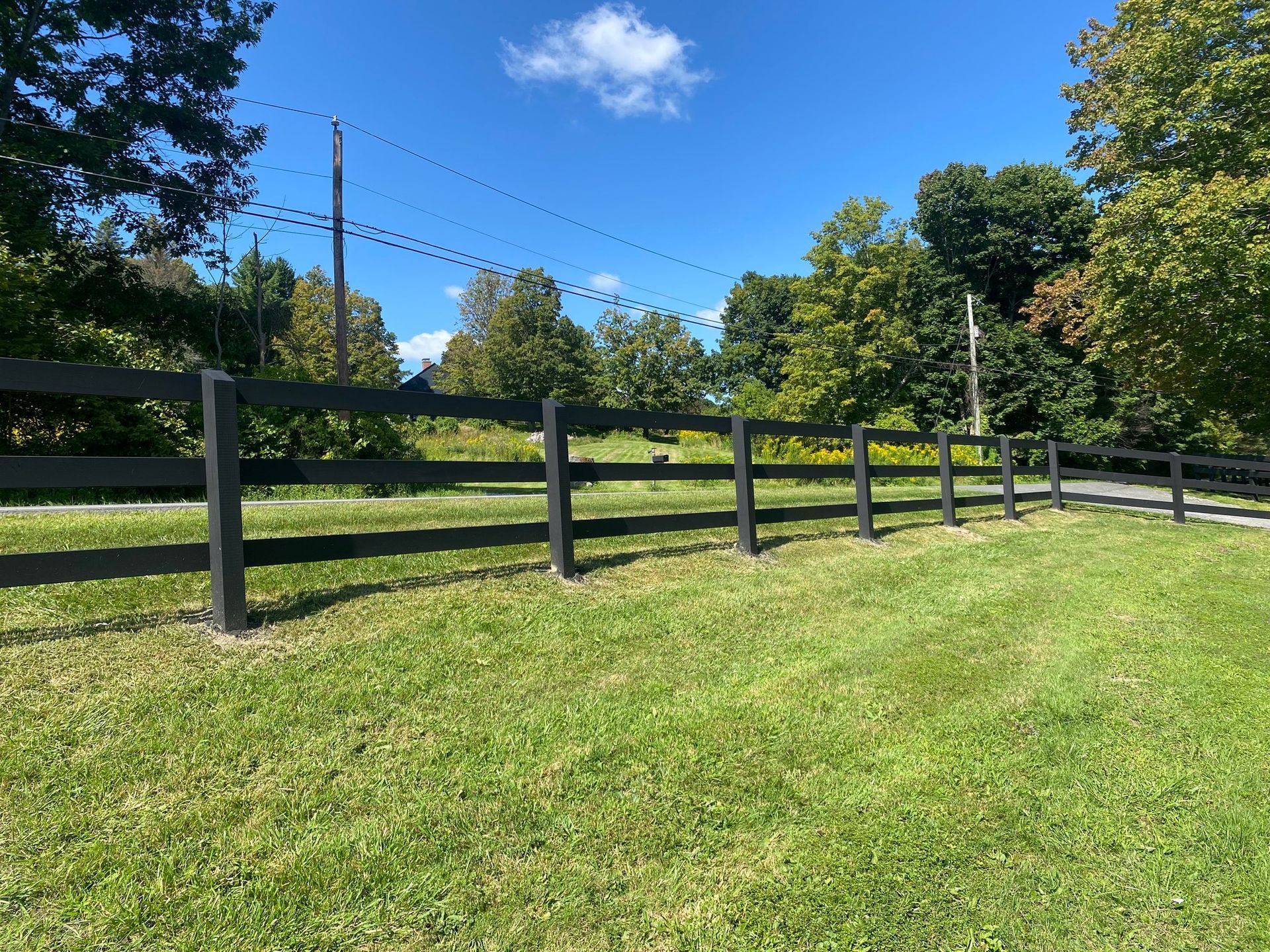 Black fence in a grassy field, with trees in the background under a blue sky.
