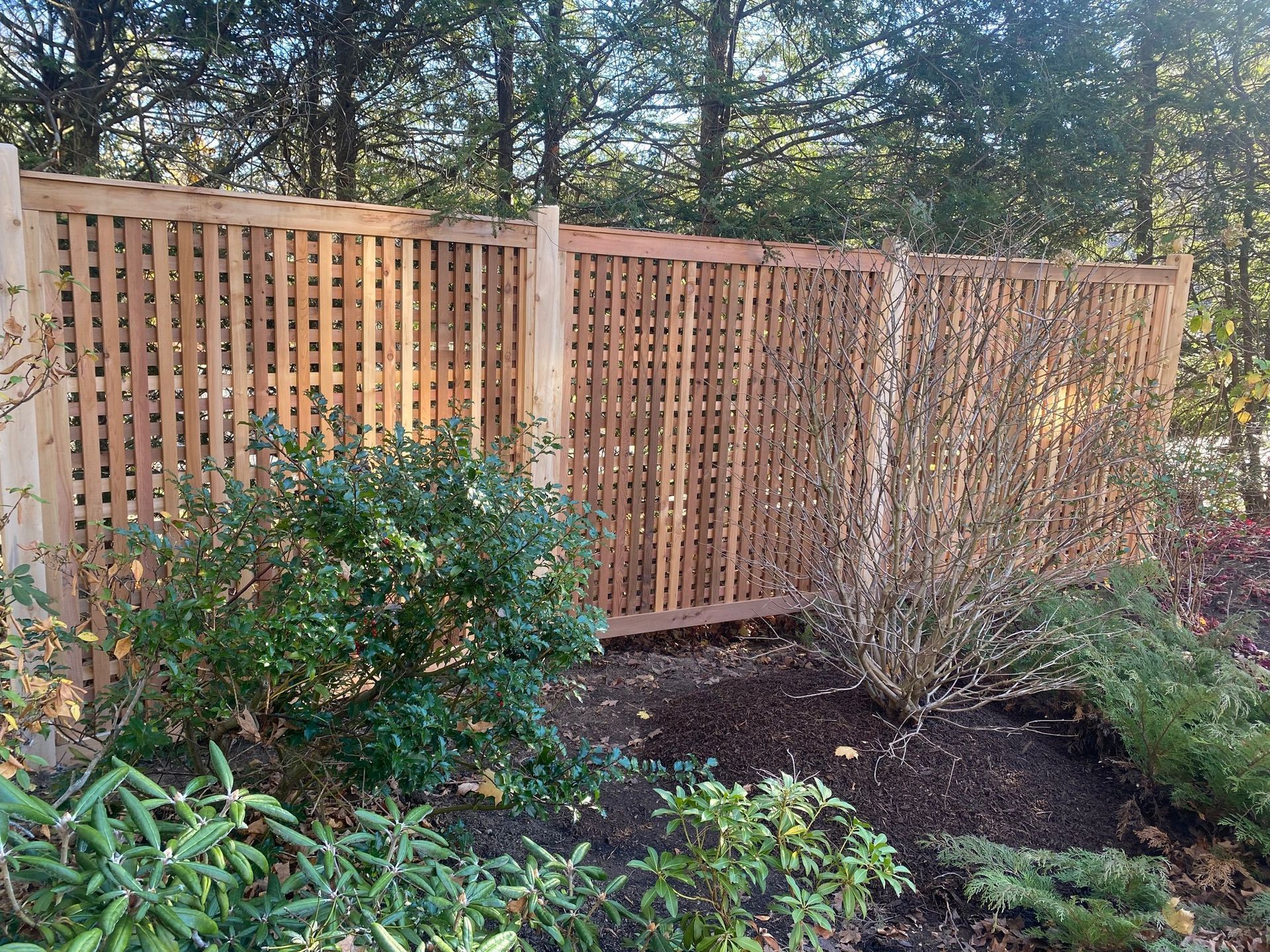 Wooden lattice fence in a garden with bushes and trees, brown and green hues.