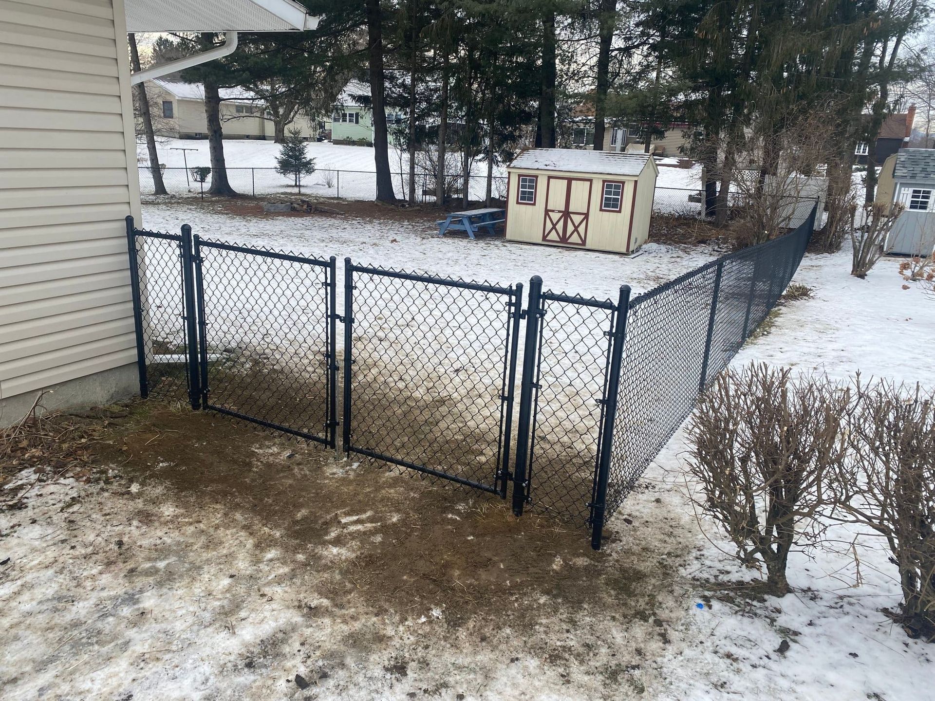 Black chain-link fence with gates in a snowy yard, beige shed in background.