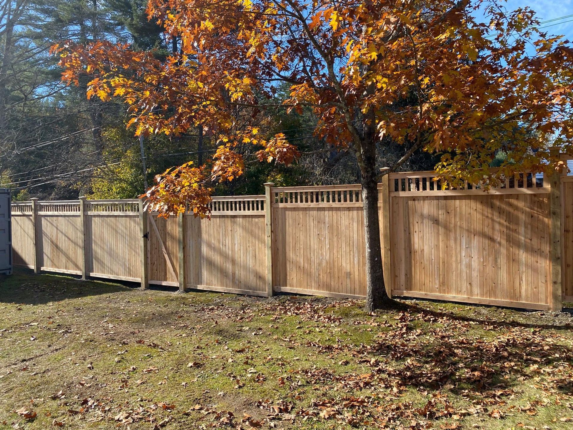 Wooden fence with gate, autumn leaves, and sunlight.