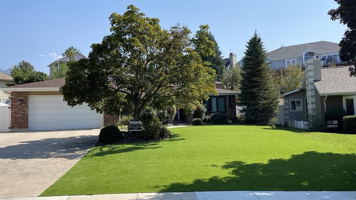 Suburban house with a large green lawn, tree, driveway, and garage under a clear blue sky