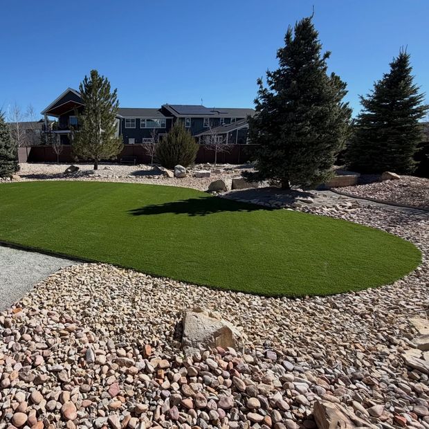 Landscaped yard with green turf, rock beds, and tall evergreen trees in front of a building