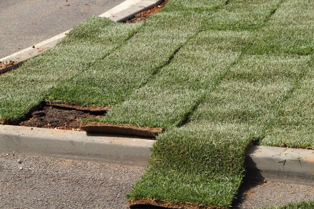 Damaged curbside turf mats lifted and torn along a roadside edge.