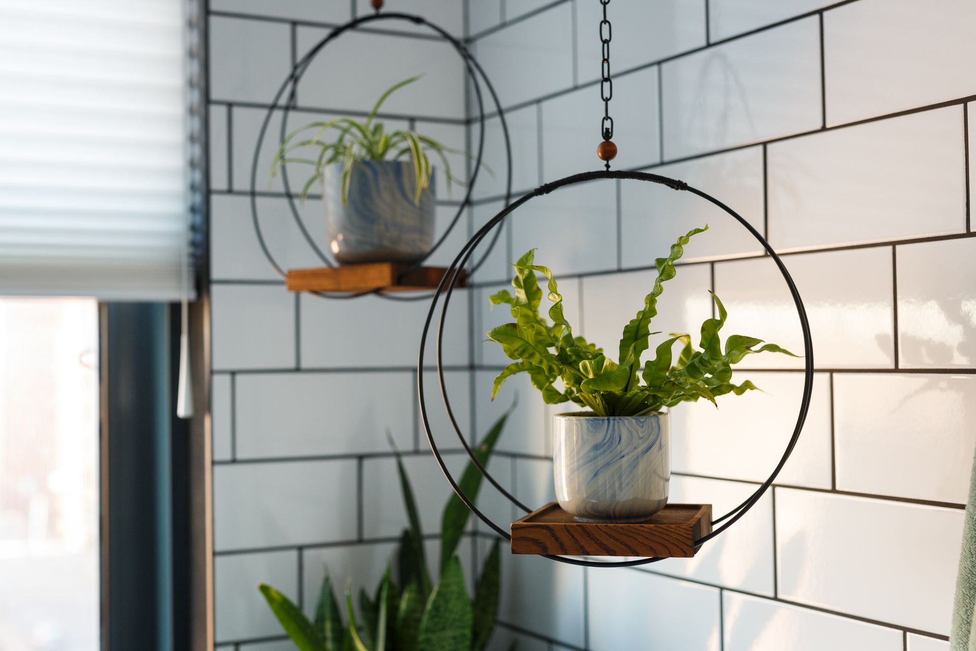 Two hanging plant holders with plants against white subway tile wall.
