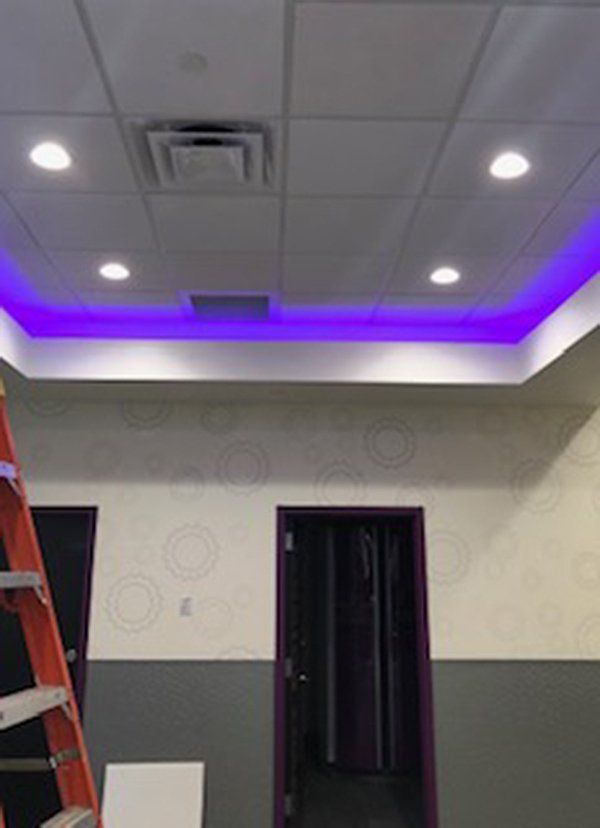 Luminaire Electric Corp. image