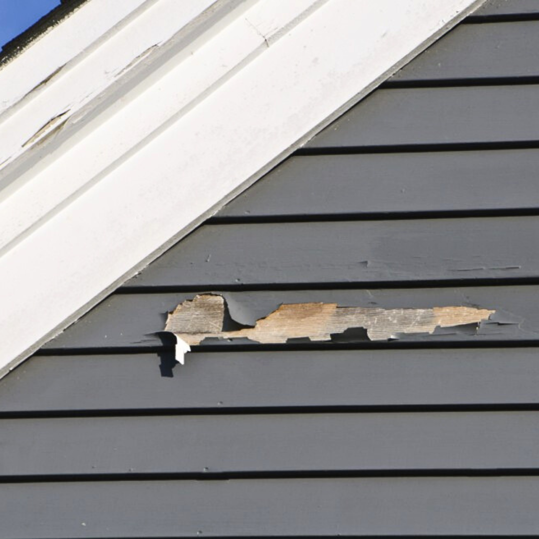 Peeling paint on Lap Siding