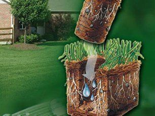Aeration and fungicides service