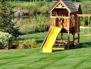 Lawn maintenance service